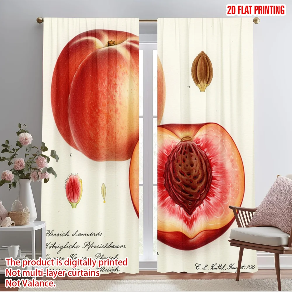 2pcs 2D flat printing Curtains Plum Fruit Botanical Illustration Fabric Without Electricity 0 for Yard & Garden No Power Needed
2pcs 2D flat printing Curtains Plum Fruit Botanical Illustration Fabric Without Electricity 0 for Yard & Garden No Power Needed