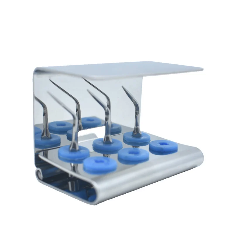 6 Holes Dental Scaler Tip Holder Endo File Disinfection Storage Box Organizer Autoclave Sterilizer Case Dentistry Equipment
6 Holes Dental Scaler Tip Holder Endo File Disinfection Storage Box Organizer Autoclave Sterilizer Case Dentistry Equipment