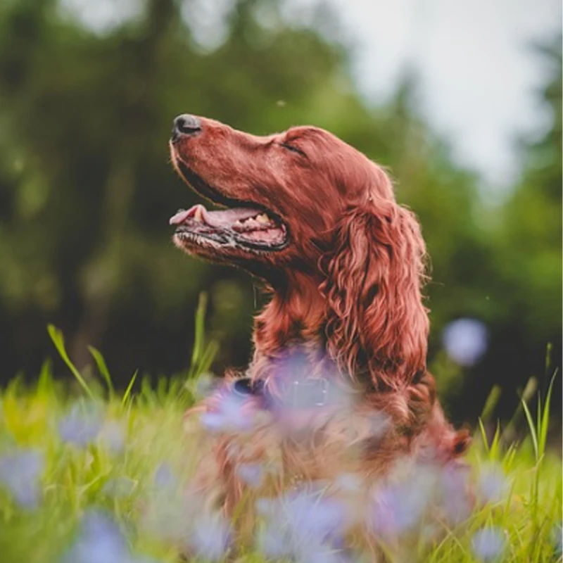 Цифровой сервопривод JX WP5326HV-300 IP68, 26 кг, водонепроницаемый, с металлическим редуктором, высоким крутящим моментом, для радиоуправляемых машин, роботов, дронов, лодок, багги, краулеров
Цифровой сервопривод JX WP5326HV-300 IP68, 26 кг, водонепроницаемый, с металлическим редуктором, высоким крутящим моментом, для радиоуправляемых машин, роботов, дронов, лодок, багги, краулеров