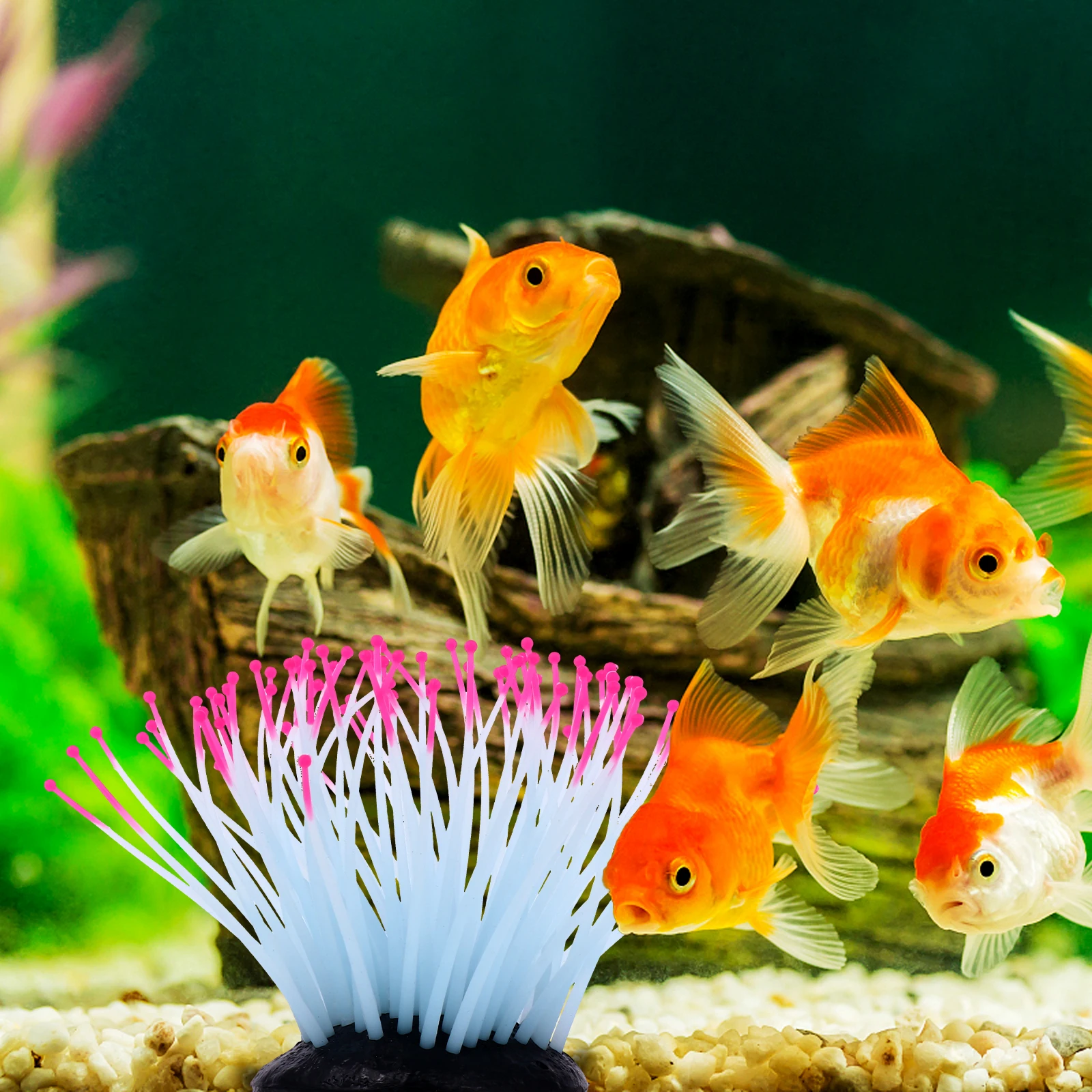 Lifelike Resin Sea Anemone Night Glow Coral Aquarium Decor Artificial Plants Fish Tank L scape Simulation Underwater nament
Lifelike Resin Sea Anemone Night Glow Coral Aquarium Decor Artificial Plants Fish Tank L scape Simulation Underwater nament