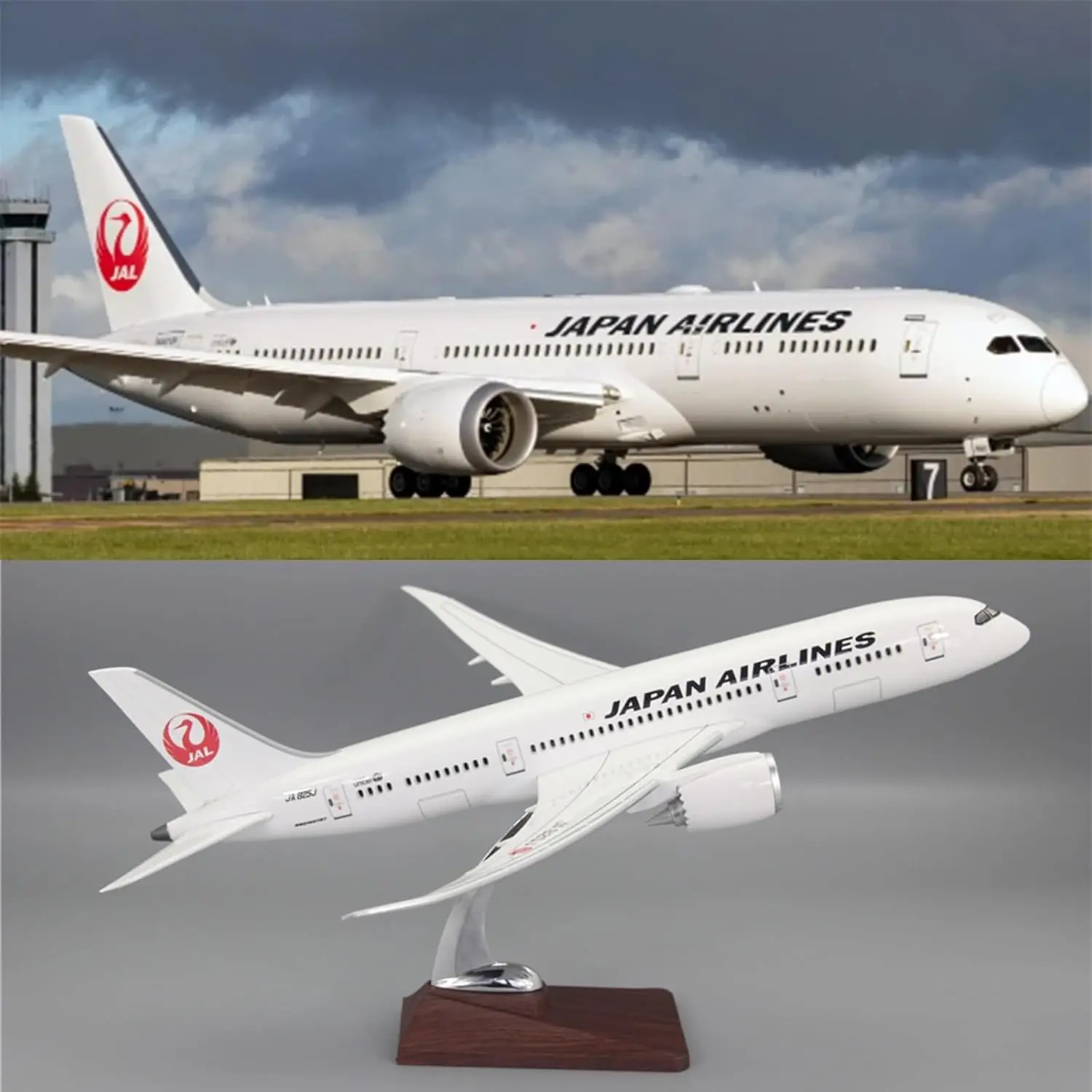 1:130 B787 Japan Airlines JAL Airliner Airplane Model Simulation Plane Dreamliner Diecast Pre-Built Aircraft Gift Decoration
1:130 B787 Japan Airlines JAL Airliner Airplane Model Simulation Plane Dreamliner Diecast Pre-Built Aircraft Gift Decoration