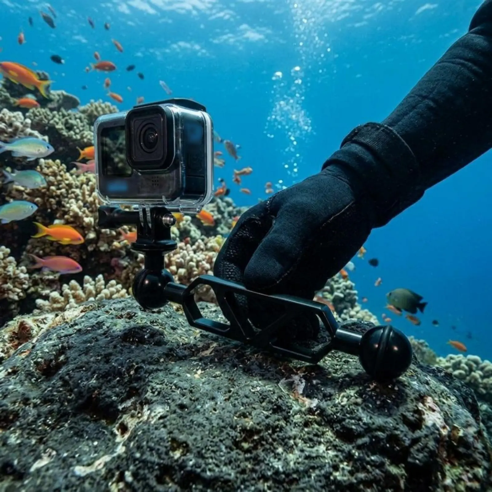 Underwater Light Arm Clamp Sturdy Butterfly Clamp Arm Action Camera Ball Adapter CNC Machined for Divers, Diving
Underwater Light Arm Clamp Sturdy Butterfly Clamp Arm Action Camera Ball Adapter CNC Machined for Divers, Diving