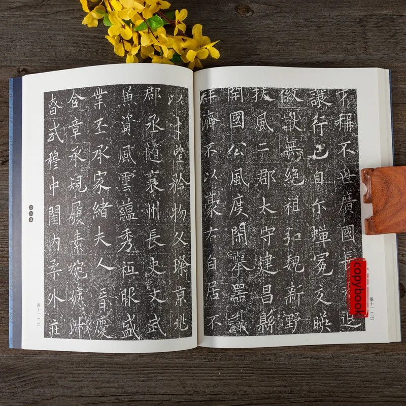 Chinese Calligraphy Copybooks Chinese Character Structure Analysis of Ou Style Regular Script Annotations Quaderno Appreciation
Chinese Calligraphy Copybooks Chinese Character Structure Analysis of Ou Style Regular Script Annotations Quaderno Appreciation
