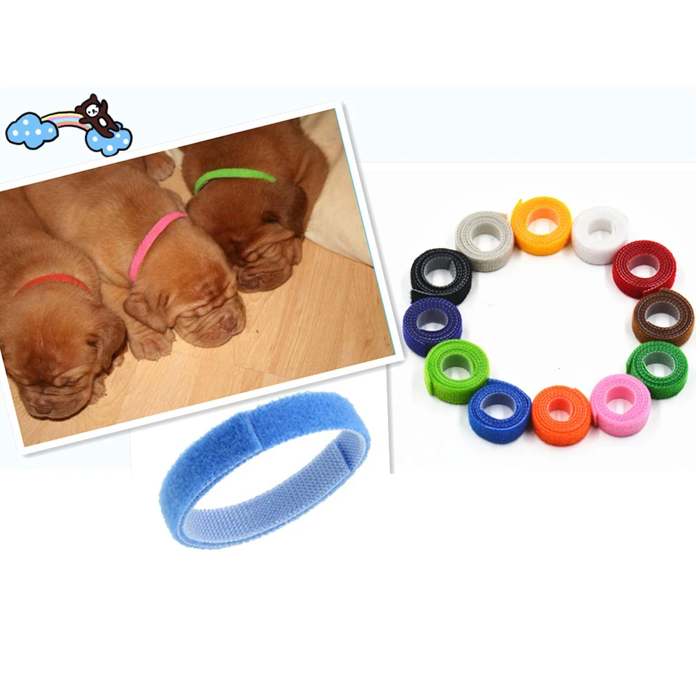 12pcs 12 Different Colors Touch Durable Nylon Neckband Christmas Snow Pattern For Dog Cat Sticky Supplies Pet Dog Collar
12pcs 12 Different Colors Touch Durable Nylon Neckband Christmas Snow Pattern For Dog Cat Sticky Supplies Pet Dog Collar