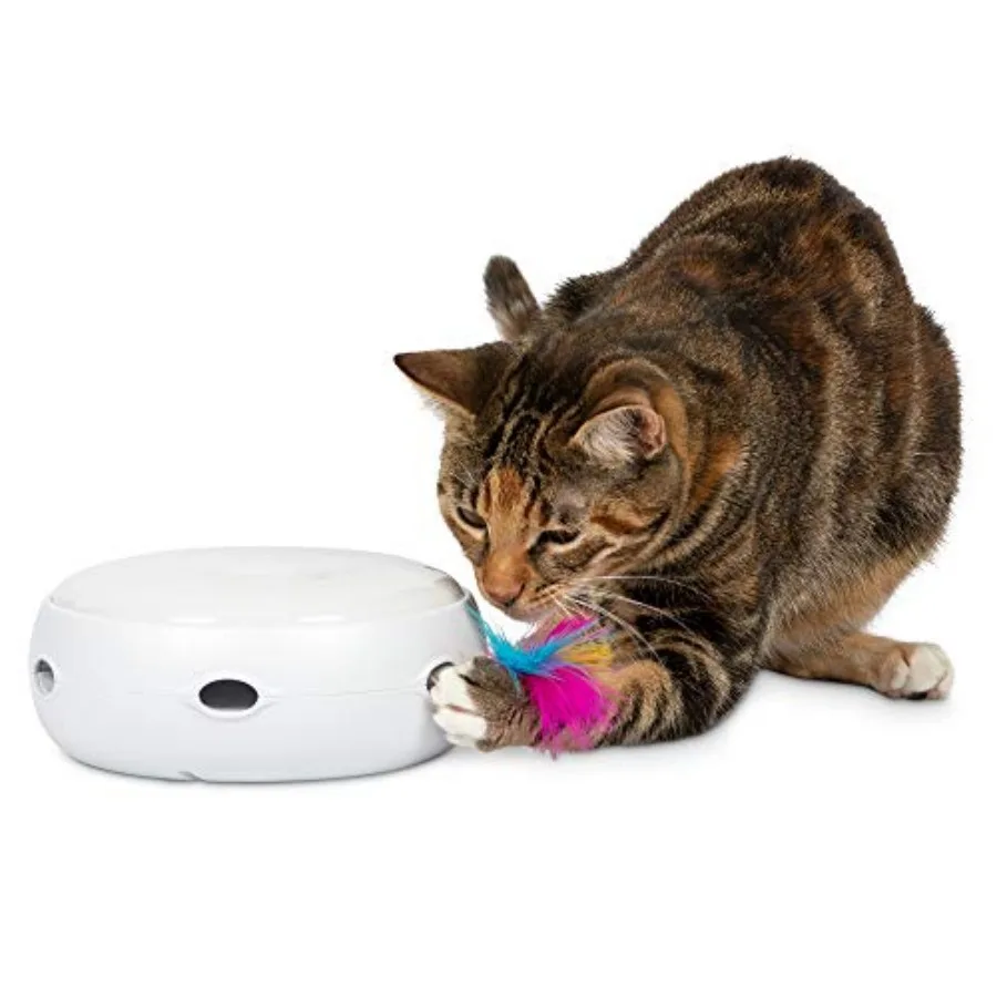 Ambush Interactive Electronic CAT Toy
Ambush Interactive Electronic CAT Toy