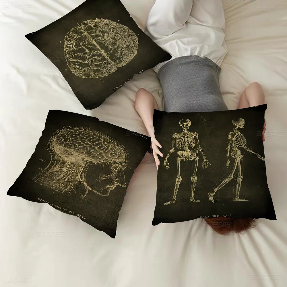 Anatomical Skeleton Chalkboard 45*45cm Cushion Cover Pillow Cover Decor Pillowcase Home Pillowcase For Couch Pillow
Anatomical Skeleton Chalkboard 45*45cm Cushion Cover Pillow Cover Decor Pillowcase Home Pillowcase For Couch Pillow