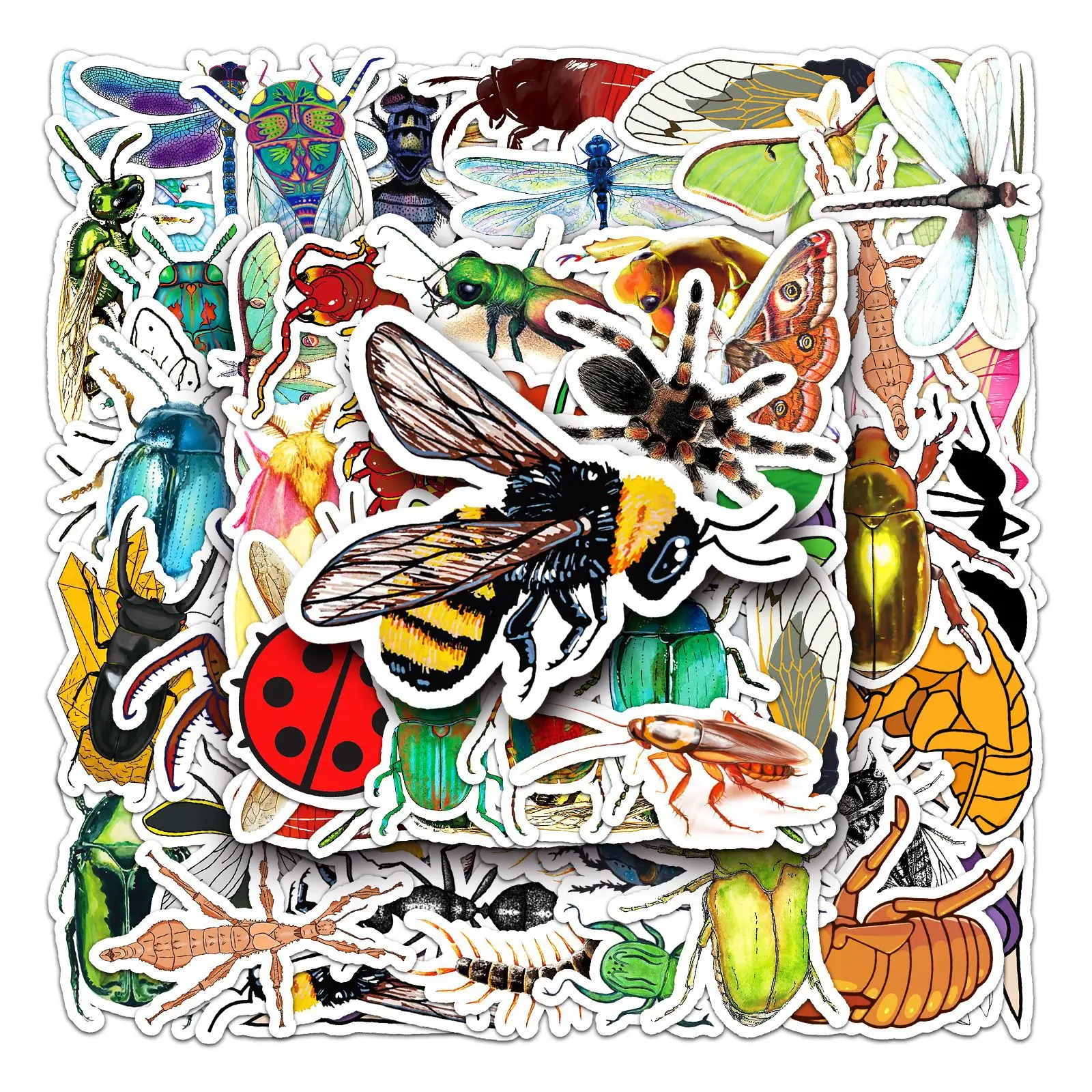 50Pcs insect graffiti DIY cartoon Decoratio phone Luggage Laptop Guitar Bike Skateboard fridge helmet Kid Toy waterpro sticker
50Pcs insect graffiti DIY cartoon Decoratio phone Luggage Laptop Guitar Bike Skateboard fridge helmet Kid Toy waterpro sticker