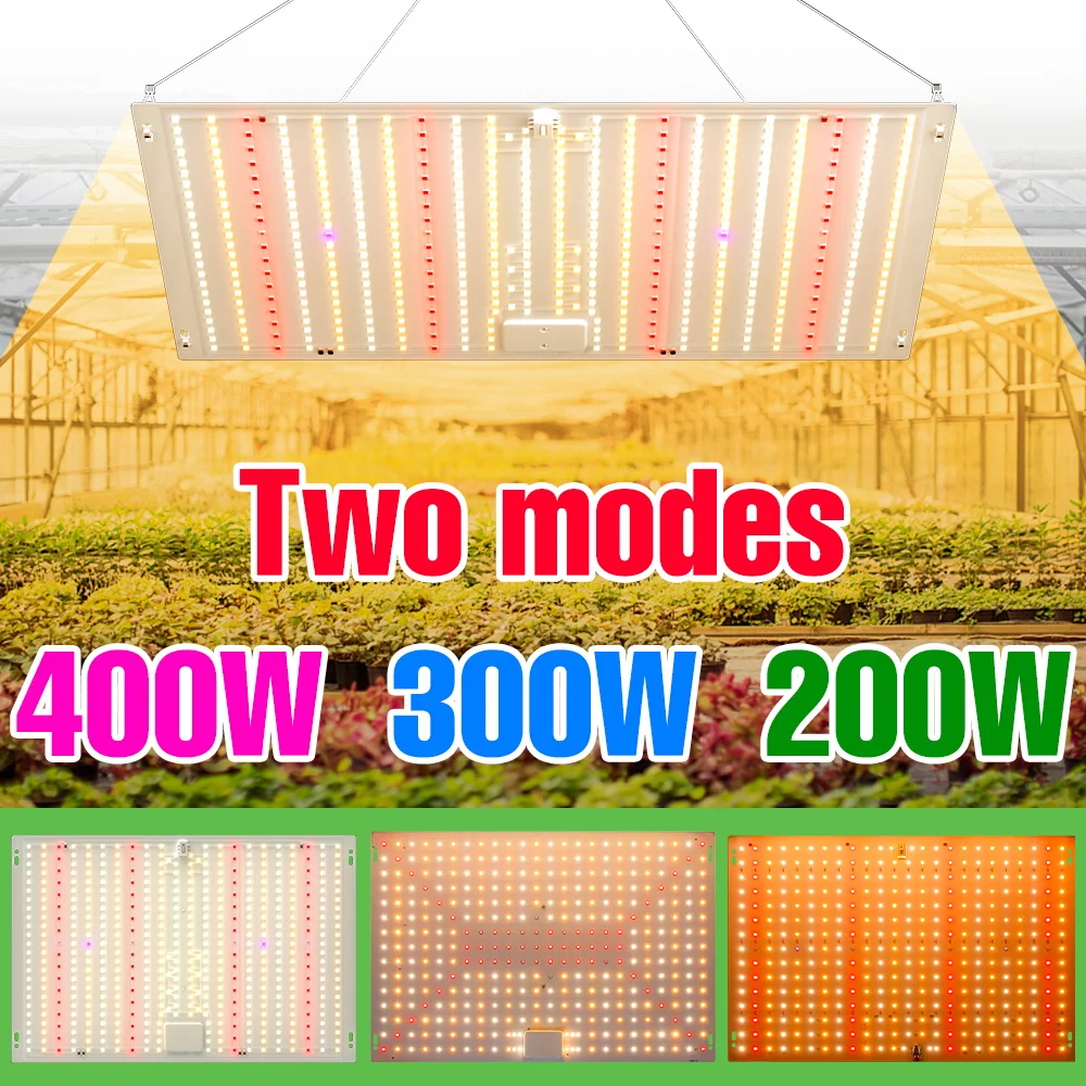 400W LED Quantum Board Plant Light Full Spectrum Grow Lamp 100-277V Indoor Seeds Cultivation Lamps Greenhouse Tent Fill Lighting
400W LED Quantum Board Plant Light Full Spectrum Grow Lamp 100-277V Indoor Seeds Cultivation Lamps Greenhouse Tent Fill Lighting