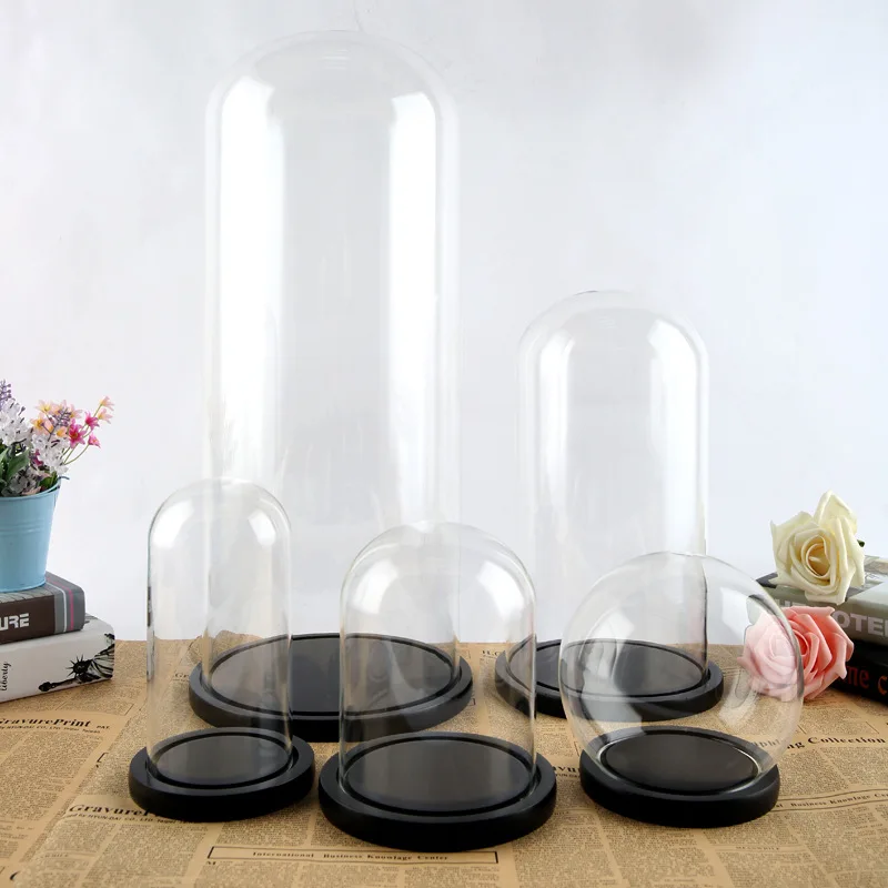 Dia 20cm Custom Decorative Clear Display Glass Cloche Bell Jar Dome With Black Wooden Base For Gifts
Dia 20cm Custom Decorative Clear Display Glass Cloche Bell Jar Dome With Black Wooden Base For Gifts