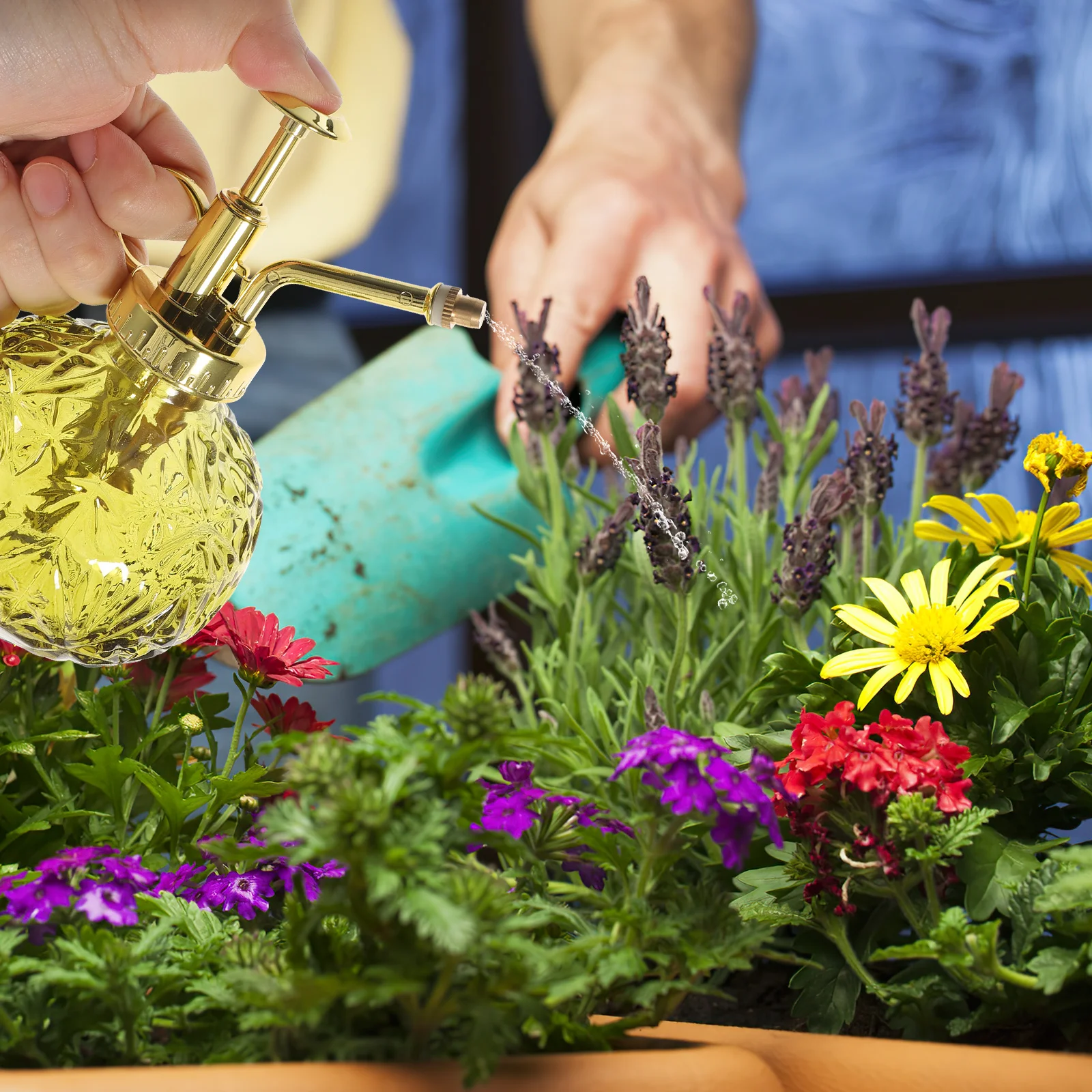 Retro Glass Plants Mister Spray Bottle Thickened Glass Body Clear Watering Pot Small Plant Sprayer for Succulents Ferns Orchids
Retro Glass Plants Mister Spray Bottle Thickened Glass Body Clear Watering Pot Small Plant Sprayer for Succulents Ferns Orchids