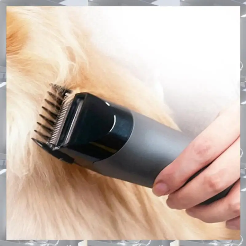 Лидер продаж-вакуумный набор для ухода за домашними животными для Dyson V7 V8 V10 V11 V12 V15, электробритва, машинка для стрижки волос, насадка для стрижки собак, кошек
Лидер продаж-вакуумный набор для ухода за домашними животными для Dyson V7 V8 V10 V11 V12 V15, электробритва, машинка для стрижки волос, насадка для стрижки собак, кошек