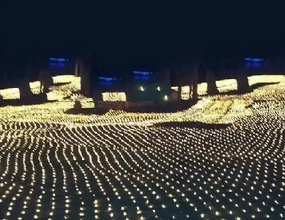 MEMEOKON LED Extra large net lights flash Net light waterproof lamp series 10M*8M Christmas Wedding Festival Decorative lights
MEMEOKON LED Extra large net lights flash Net light waterproof lamp series 10M*8M Christmas Wedding Festival Decorative lights