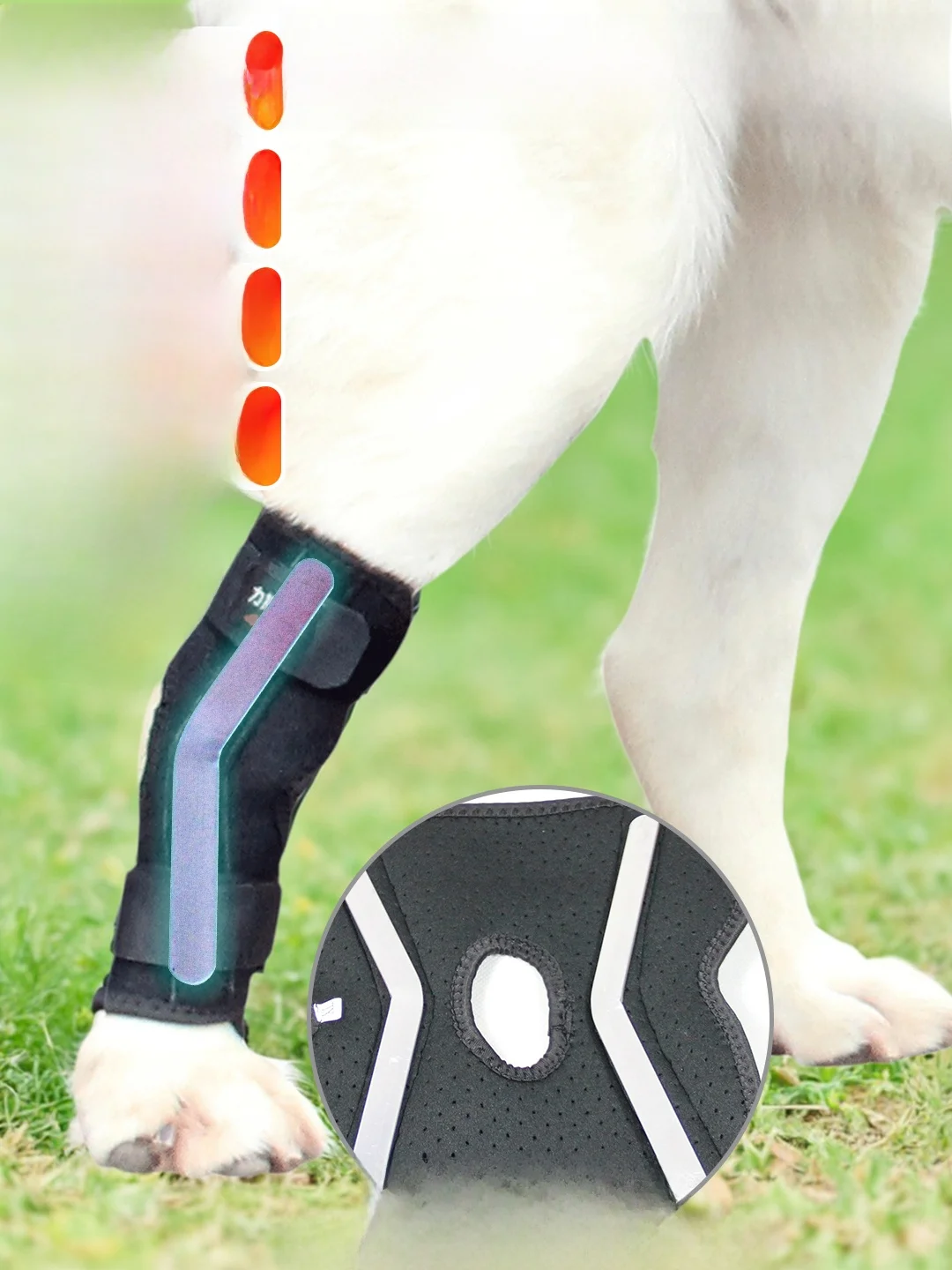 Dog Leg Support Brace Ultra Extension Ankle Fusion Iammation Ligament Laxi Tendon Pet Supplies Dog Clothing Raincoat
Dog Leg Support Brace Ultra Extension Ankle Fusion Iammation Ligament Laxi Tendon Pet Supplies Dog Clothing Raincoat
