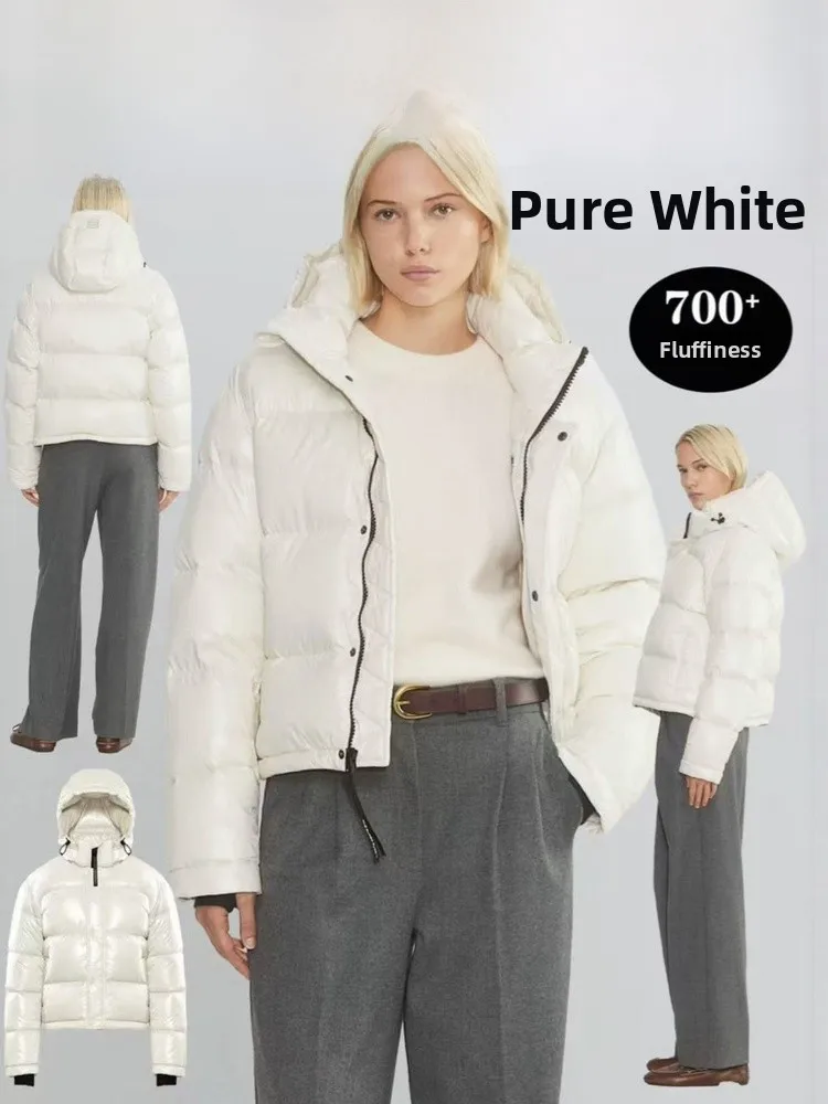 Aritzia Winter Puffer Jacket Short Goose down Zipper Detachable Hood Warm Commute Style Nylon Fabric Waterproof Windproof
Aritzia Winter Puffer Jacket Short Goose down Zipper Detachable Hood Warm Commute Style Nylon Fabric Waterproof Windproof
