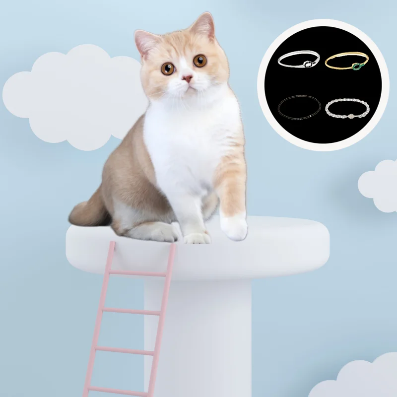2025 New high-end Spanish fashion cat accessories, fashionable pet gifts holiday party gifts, high-quality high-end products
2025 New high-end Spanish fashion cat accessories, fashionable pet gifts holiday party gifts, high-quality high-end products