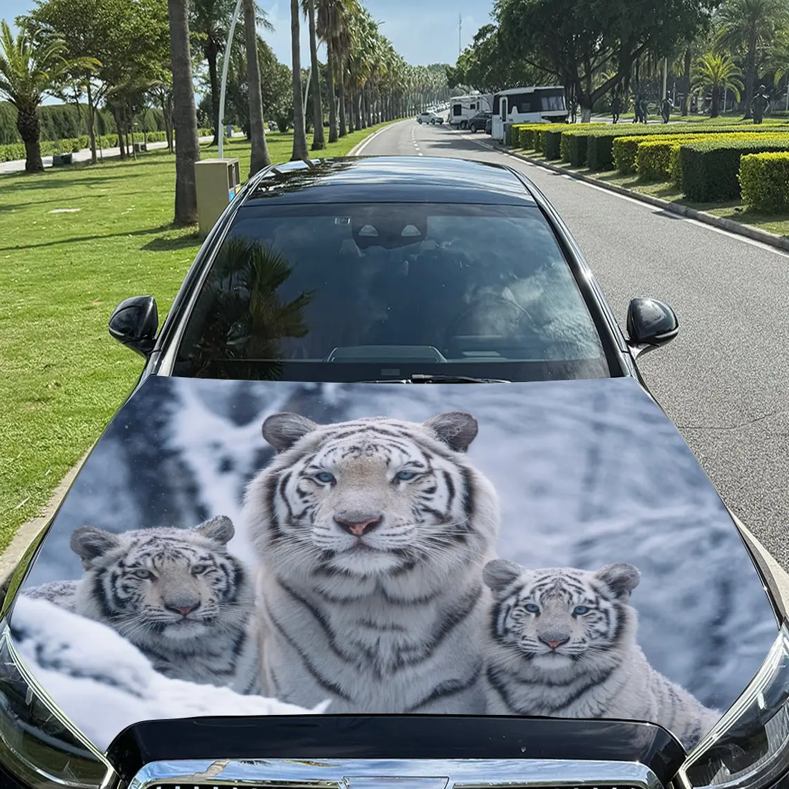Car Decals White Tigers with a Subtle, Cool - Toned Background Car Hood Sticker, Waterproof Self - Adhesive Vinyl Graphics Decal
Car Decals White Tigers with a Subtle, Cool - Toned Background Car Hood Sticker, Waterproof Self - Adhesive Vinyl Graphics Decal