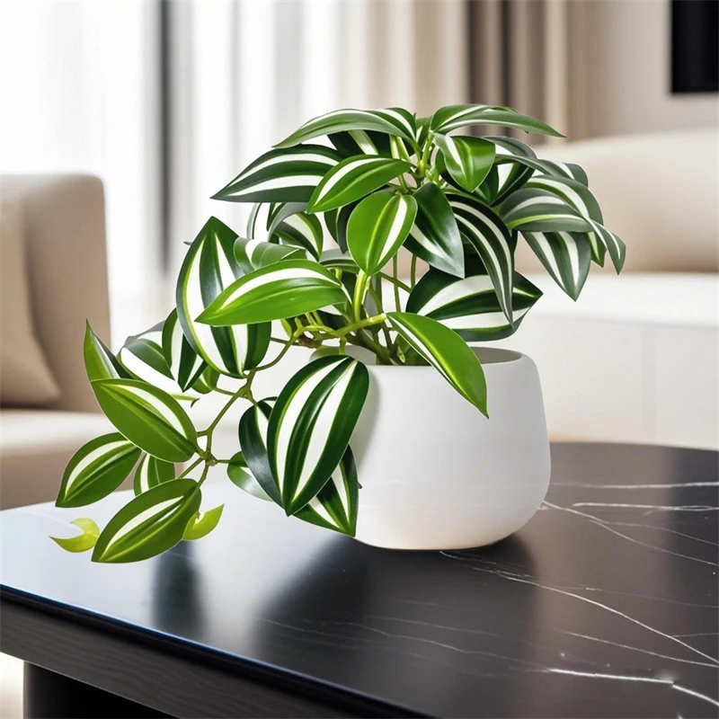 Artificial Green Leaves Plants Mini Bonsai Potted Indoor Home Decor Tabletop Office Desk Decoration Small Fake Foliage
Artificial Green Leaves Plants Mini Bonsai Potted Indoor Home Decor Tabletop Office Desk Decoration Small Fake Foliage