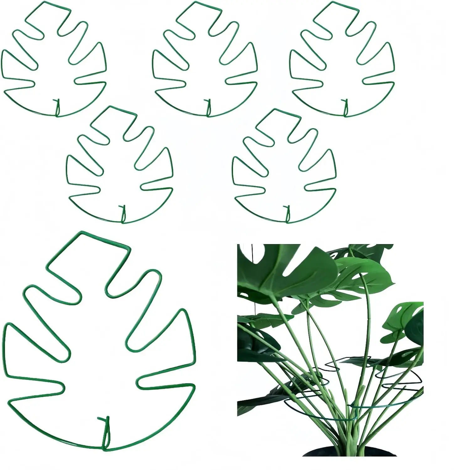 Набор из 5 железных опор для растений с бамбуковыми зажимами для комнатных вьющихся растений, зеленый
Набор из 5 железных опор для растений с бамбуковыми зажимами для комнатных вьющихся растений, зеленый