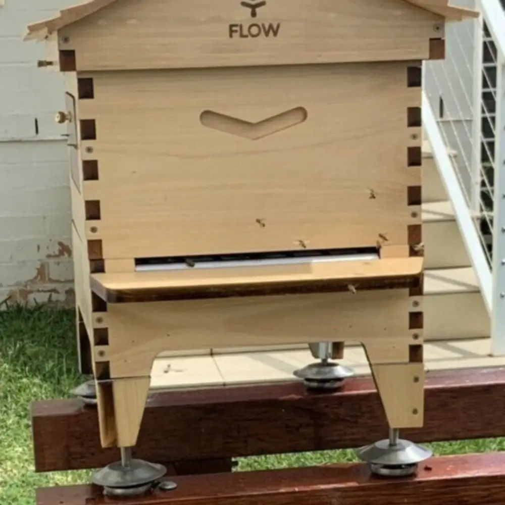 Stainless Steel Beehive Stand Feet Rustproof Sturdy Ant-Proof Beehive Stand Heavy-Duty Stand Adjustable Hive Stand
Stainless Steel Beehive Stand Feet Rustproof Sturdy Ant-Proof Beehive Stand Heavy-Duty Stand Adjustable Hive Stand
