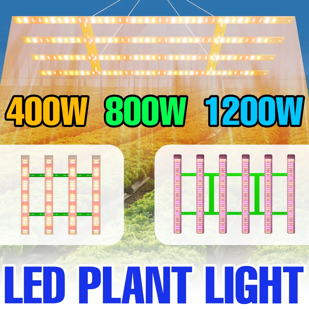 1200W Full Spectrum LED Plant Grow Light Quantum Board Succulent Fill Lamp Greenhouse Tent Flower Vegs Bonsai Cultivation Lights
1200W Full Spectrum LED Plant Grow Light Quantum Board Succulent Fill Lamp Greenhouse Tent Flower Vegs Bonsai Cultivation Lights
