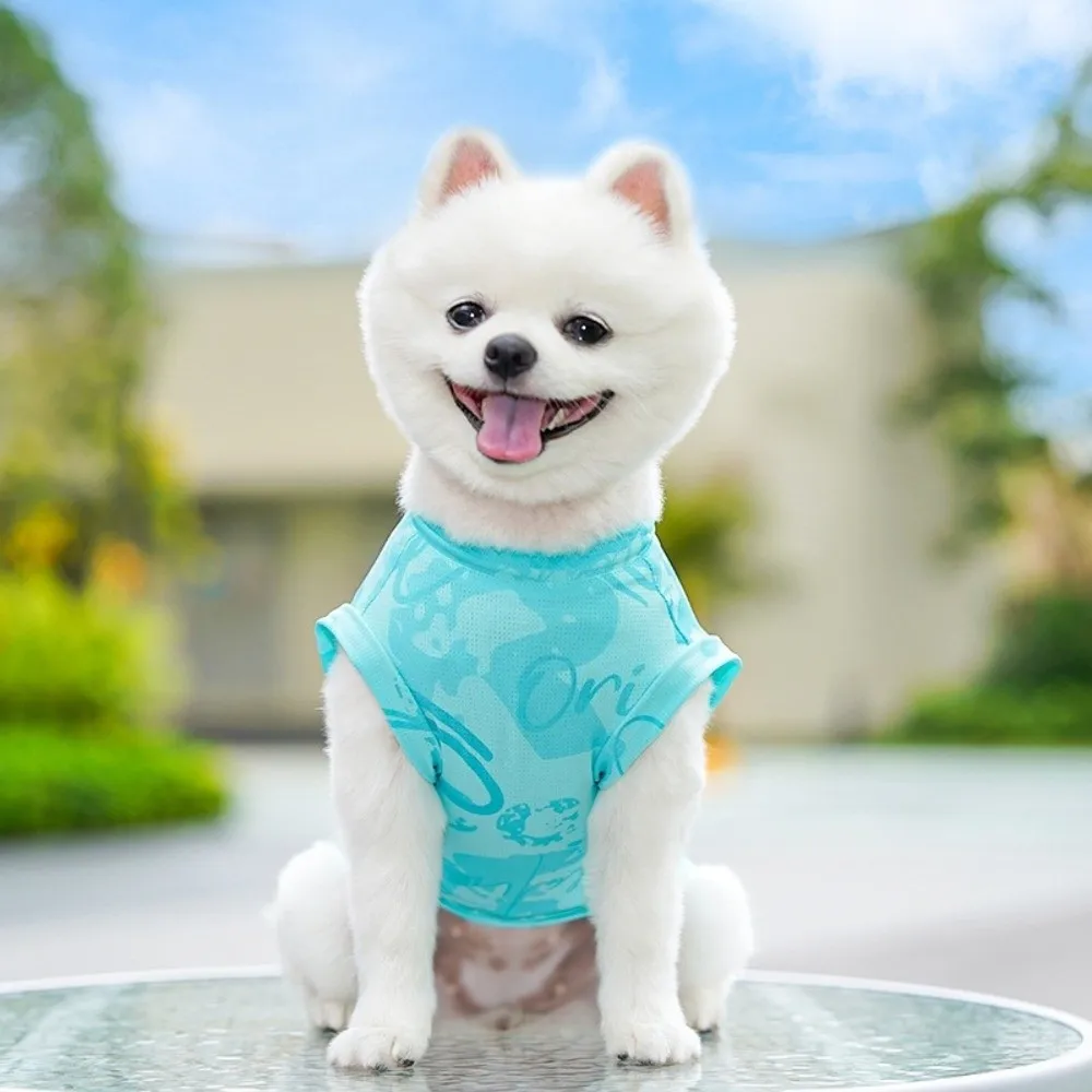 Thin Breathable Dog Cooling Vest Mesh Anti-fly Dog Sunscreen Shirt Lightweight with Traction Su Dog Clothes Hot Weather
Thin Breathable Dog Cooling Vest Mesh Anti-fly Dog Sunscreen Shirt Lightweight with Traction Su Dog Clothes Hot Weather
