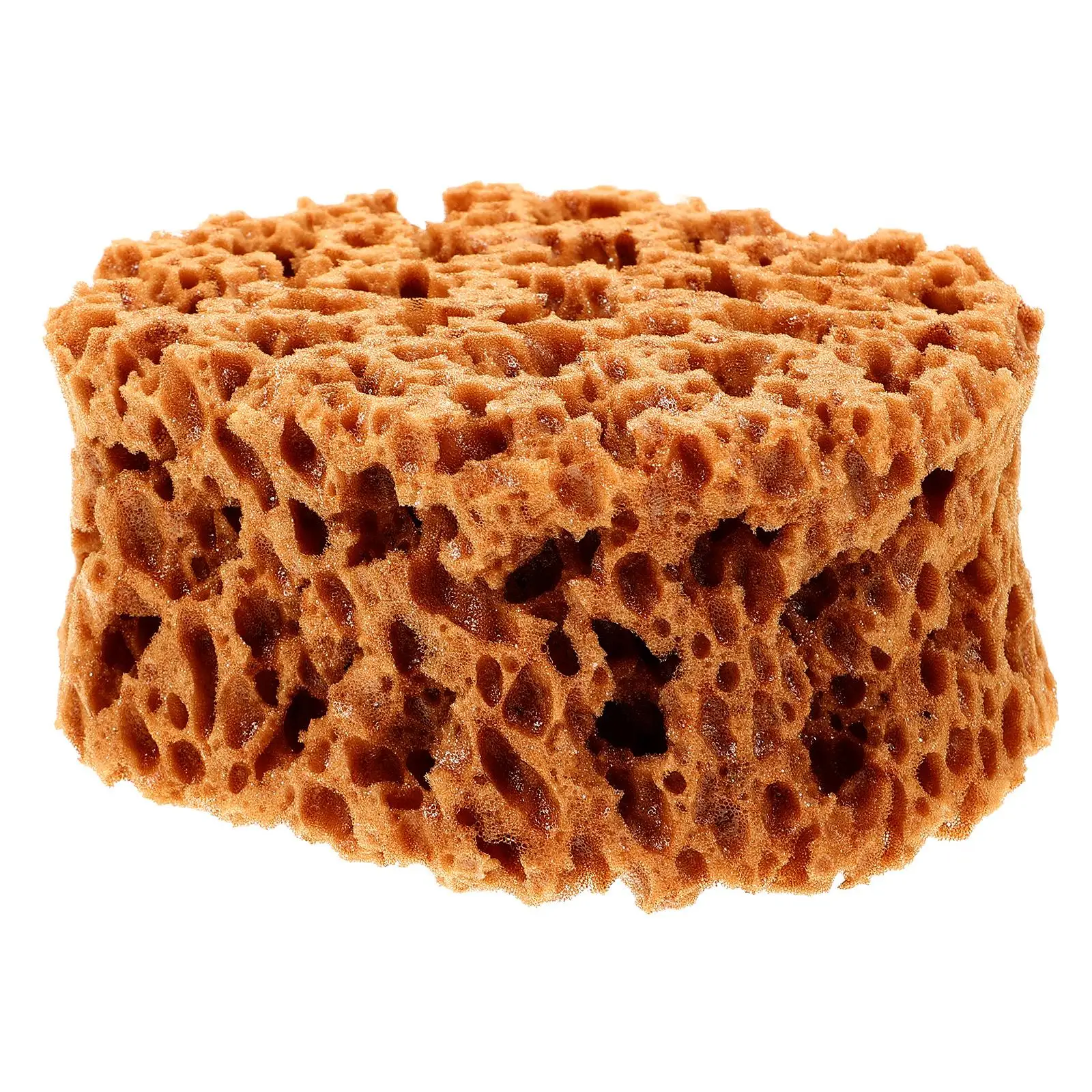 Sea Sponge Painting Tool Natural Seaweed Sponges Light Brown Drywall Texture Patch Baby Walls Furniture Supplies
Sea Sponge Painting Tool Natural Seaweed Sponges Light Brown Drywall Texture Patch Baby Walls Furniture Supplies