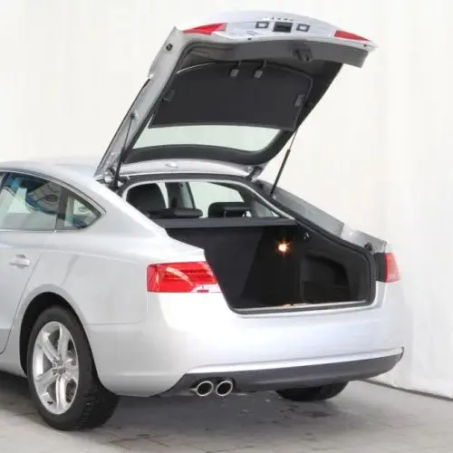 Auto Struts With Springs For Audi A5 S5 Sportback (8TA) 2007-2016 Rear Tailgate Trunk Boot Lift Supports Shock Damper Rod
Auto Struts With Springs For Audi A5 S5 Sportback (8TA) 2007-2016 Rear Tailgate Trunk Boot Lift Supports Shock Damper Rod