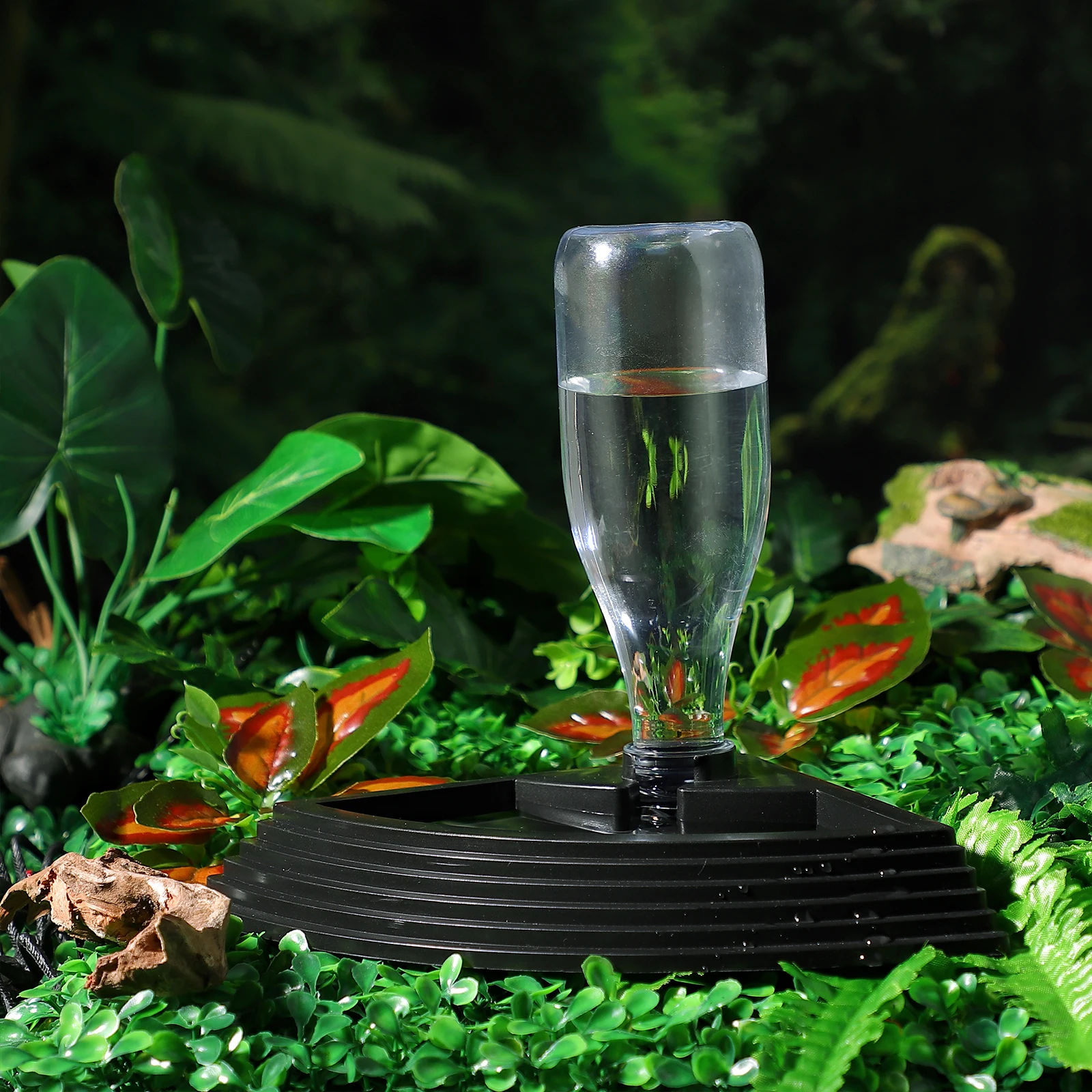 Reptile Water Feeder Automatic Drinking Fountain Tortoise Bowl Durable ABS Material Removable Bottle Easy Cleaning Pet Supplies
Reptile Water Feeder Automatic Drinking Fountain Tortoise Bowl Durable ABS Material Removable Bottle Easy Cleaning Pet Supplies