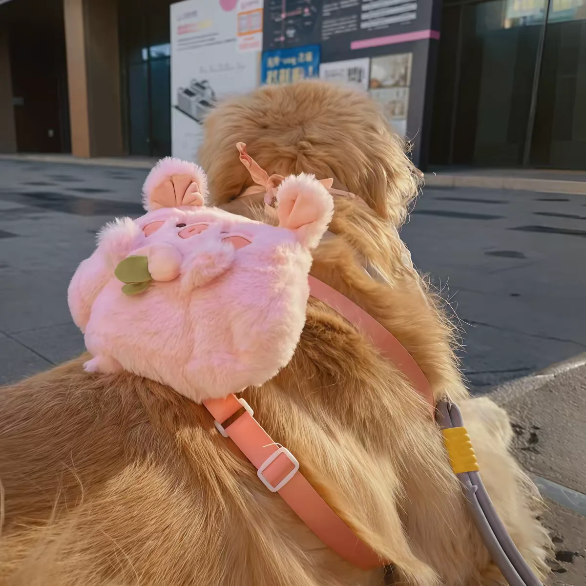 Large Medium Dog Backpack Portable Snack Double Shoulder Bag for Golden Retriever Samo Alaskan Outing Self-Backed Bag
Large Medium Dog Backpack Portable Snack Double Shoulder Bag for Golden Retriever Samo Alaskan Outing Self-Backed Bag