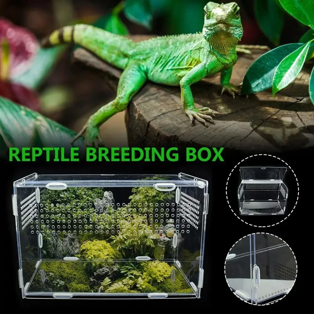Removable Acrylic Reptile Breeding Box Transparent Turtle Breeding Tank Nano Arboreal Tarantula Enclosure Dearded Dragon Habitat
Removable Acrylic Reptile Breeding Box Transparent Turtle Breeding Tank Nano Arboreal Tarantula Enclosure Dearded Dragon Habitat