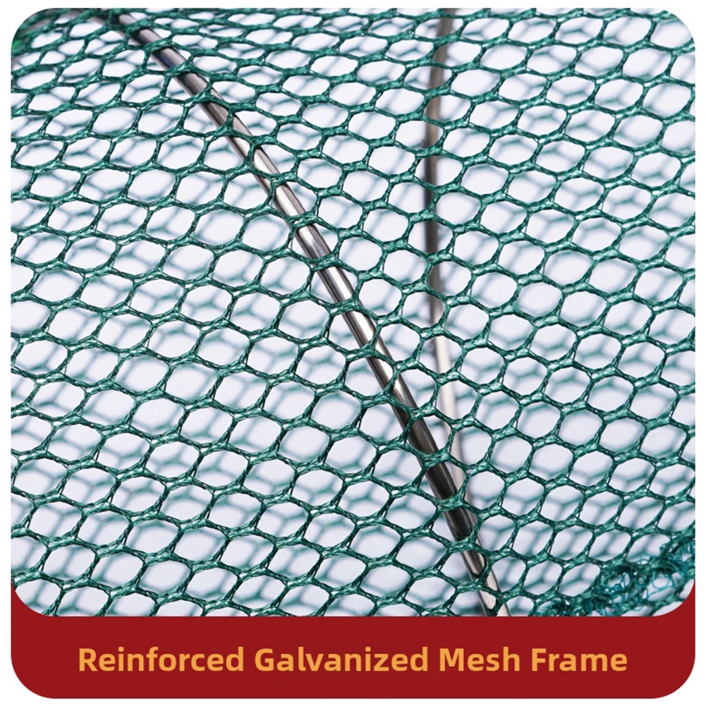 Spring-Actuated Foldable Crab Cage for Lobster Shrimp Featuring Wire Mesh Buckle and Compact Storage Capability
Spring-Actuated Foldable Crab Cage for Lobster Shrimp Featuring Wire Mesh Buckle and Compact Storage Capability