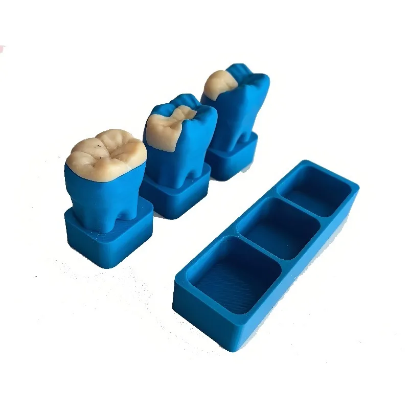 Dental High cement Inlay Demonstration Model Oral College Teaching Practical Operation Soft Silicone Dental Model Mold
Dental High cement Inlay Demonstration Model Oral College Teaching Practical Operation Soft Silicone Dental Model Mold