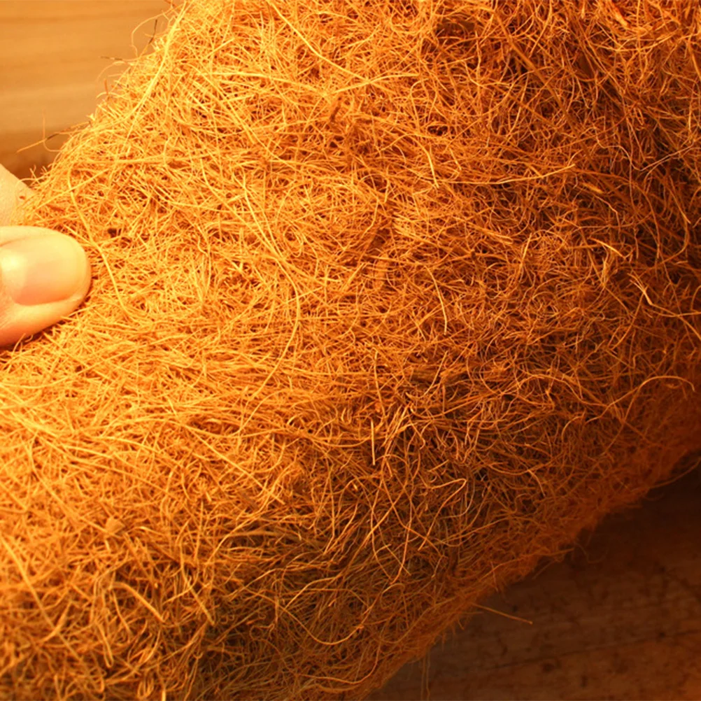 Coconut Fiber Mat Reptile Bedding Supplies Terrarium Plant Strong Filter Clean Permeability Easy Care Good Air Non
Coconut Fiber Mat Reptile Bedding Supplies Terrarium Plant Strong Filter Clean Permeability Easy Care Good Air Non