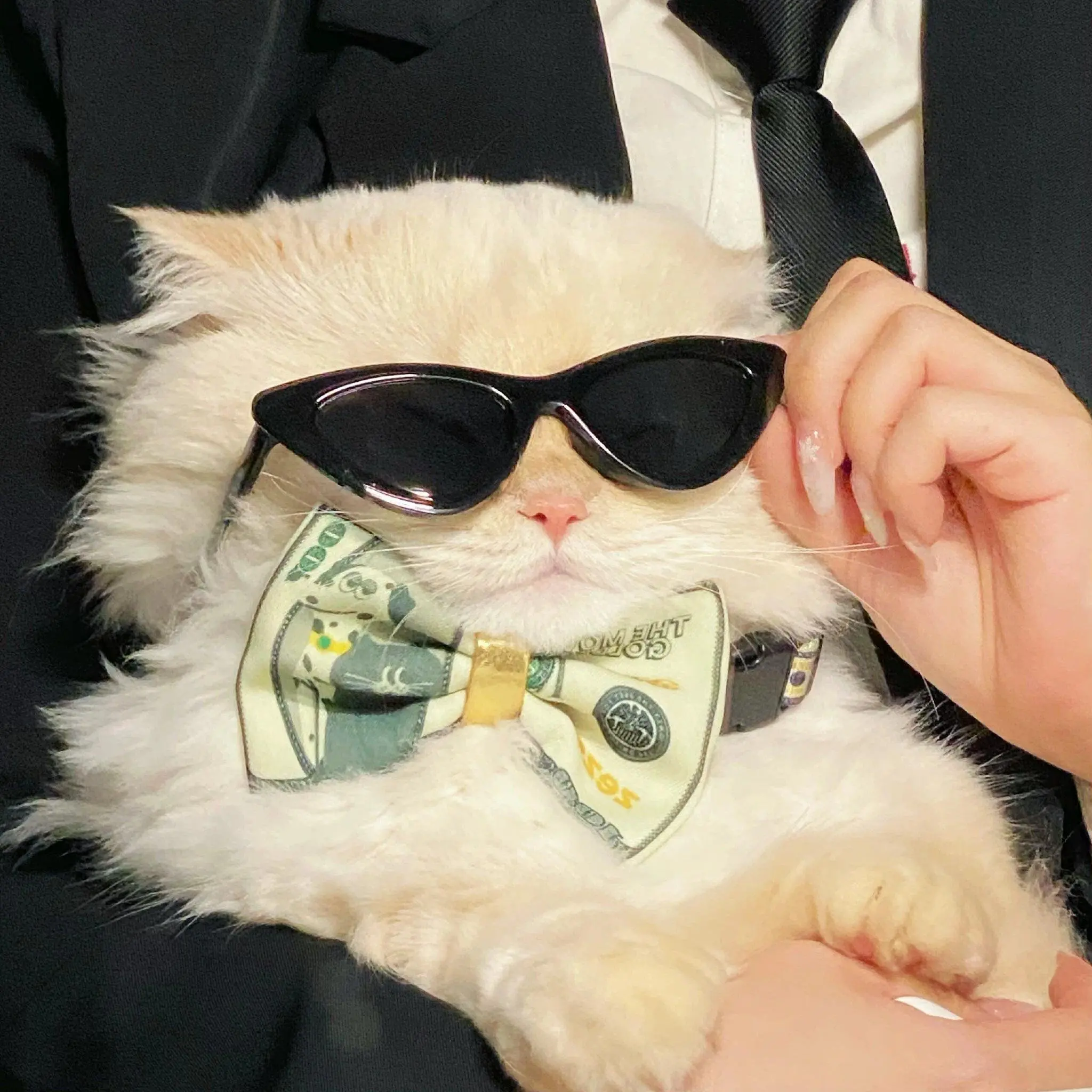 EMS Electromagnetic Pelvic Floor Chair Non-Invasive Strengthening Pelvic Muscles Chair Promote Postpartum Repair Ems Machine
EMS Electromagnetic Pelvic Floor Chair Non-Invasive Strengthening Pelvic Muscles Chair Promote Postpartum Repair Ems Machine