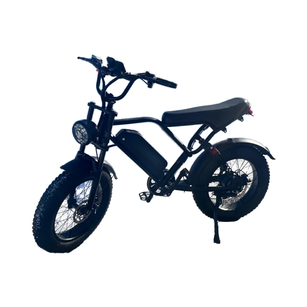 Electric Fat Tire Bike 20x4" 500W Motor 48V Battery Off-Road E-Bike for Adults
Electric Fat Tire Bike 20x4" 500W Motor 48V Battery Off-Road E-Bike for Adults