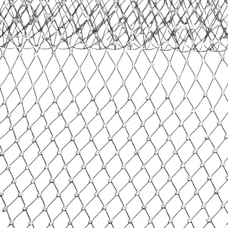 Beaded Netting Veil Applique for Headwear Clothing Bags Hat Scarf Accessories Y166
Beaded Netting Veil Applique for Headwear Clothing Bags Hat Scarf Accessories Y166