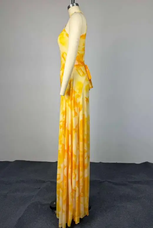 Women's Dress 2026 Spring Sweet and Fresh Printed Semi High Neck Sleeveless High Waist Slimming A-Line Dress Long Skirt
Women's Dress 2026 Spring Sweet and Fresh Printed Semi High Neck Sleeveless High Waist Slimming A-Line Dress Long Skirt