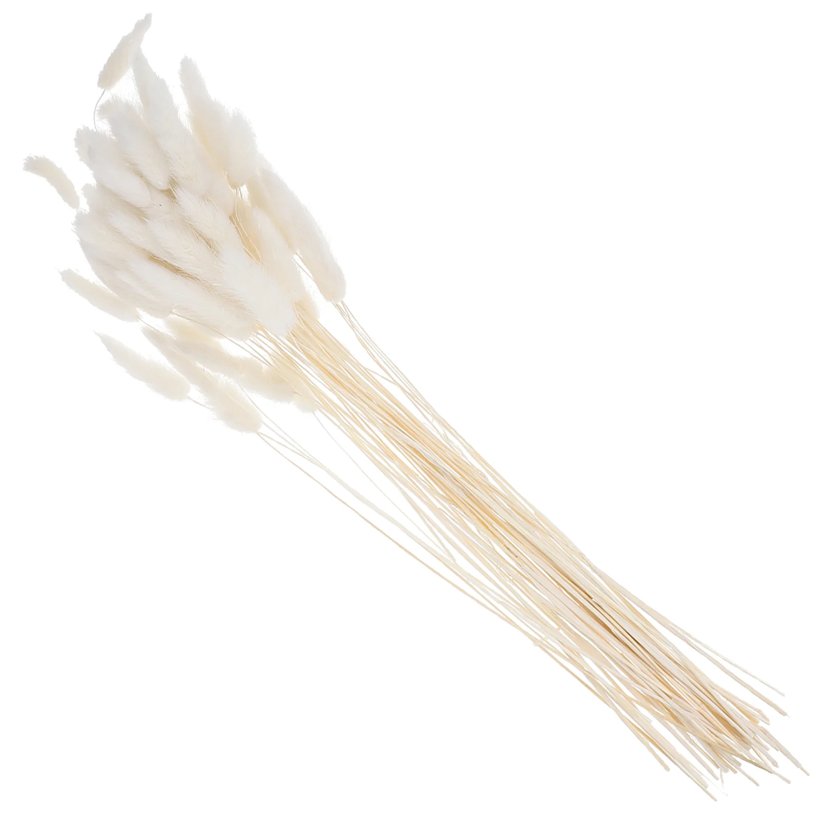 Bunny Tail Grass Artificial Flower Natrual for Photo Pastoral Home Decor Decorative Dried Flowers
Bunny Tail Grass Artificial Flower Natrual for Photo Pastoral Home Decor Decorative Dried Flowers