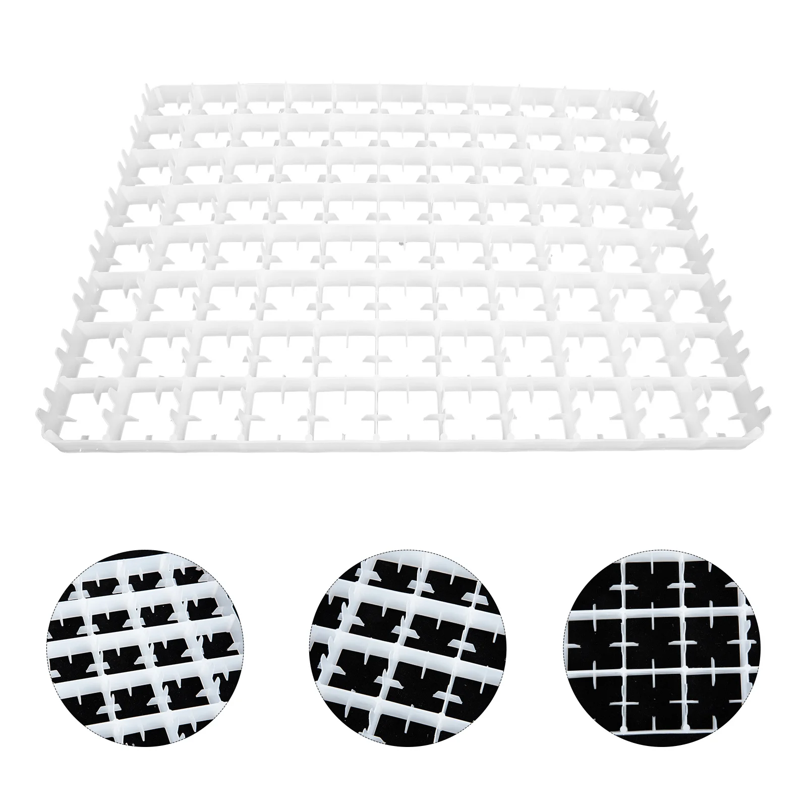 Reliable Egg Holder 88 Grids Egg Organizer Fine Workmanship Beautiful Appearance Easy Carry Use Incubation Container 
Reliable Egg Holder 88 Grids Egg Organizer Fine Workmanship Beautiful Appearance Easy Carry Use Incubation Container