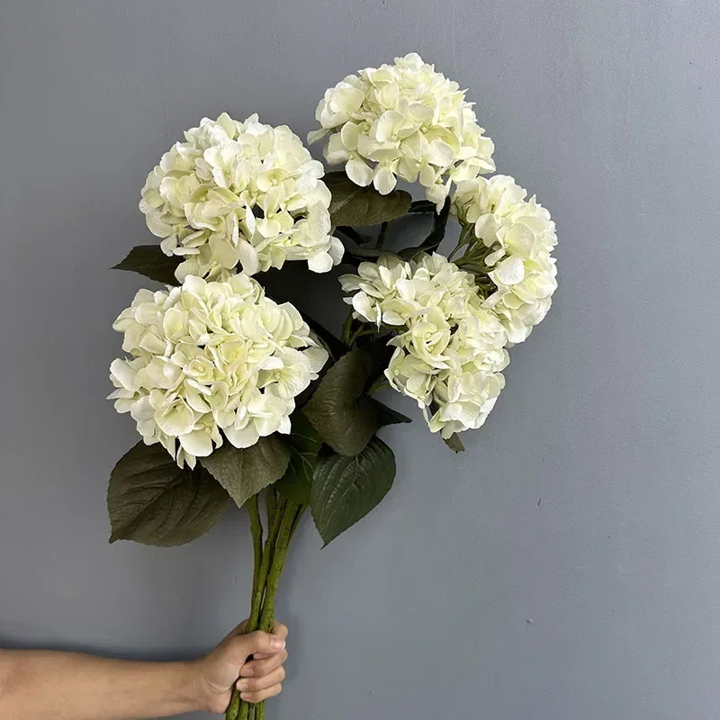 Simulation Hydrangeas 3D Printing Fake Flowers Table Decor Artificial Flower 62cm Hawaiian Hydrangea Branch Office Decoration
Simulation Hydrangeas 3D Printing Fake Flowers Table Decor Artificial Flower 62cm Hawaiian Hydrangea Branch Office Decoration