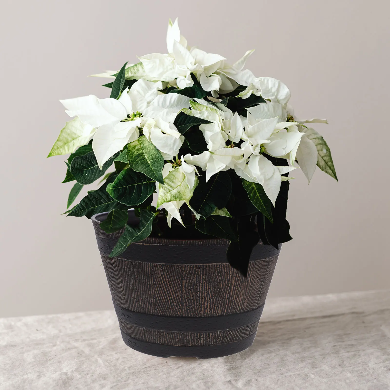 Tree Flower Tray Plant Pots Indoor Planter Barrel Retro Style Succulent Bonsai Pot Gardening Room Ornament
Tree Flower Tray Plant Pots Indoor Planter Barrel Retro Style Succulent Bonsai Pot Gardening Room Ornament