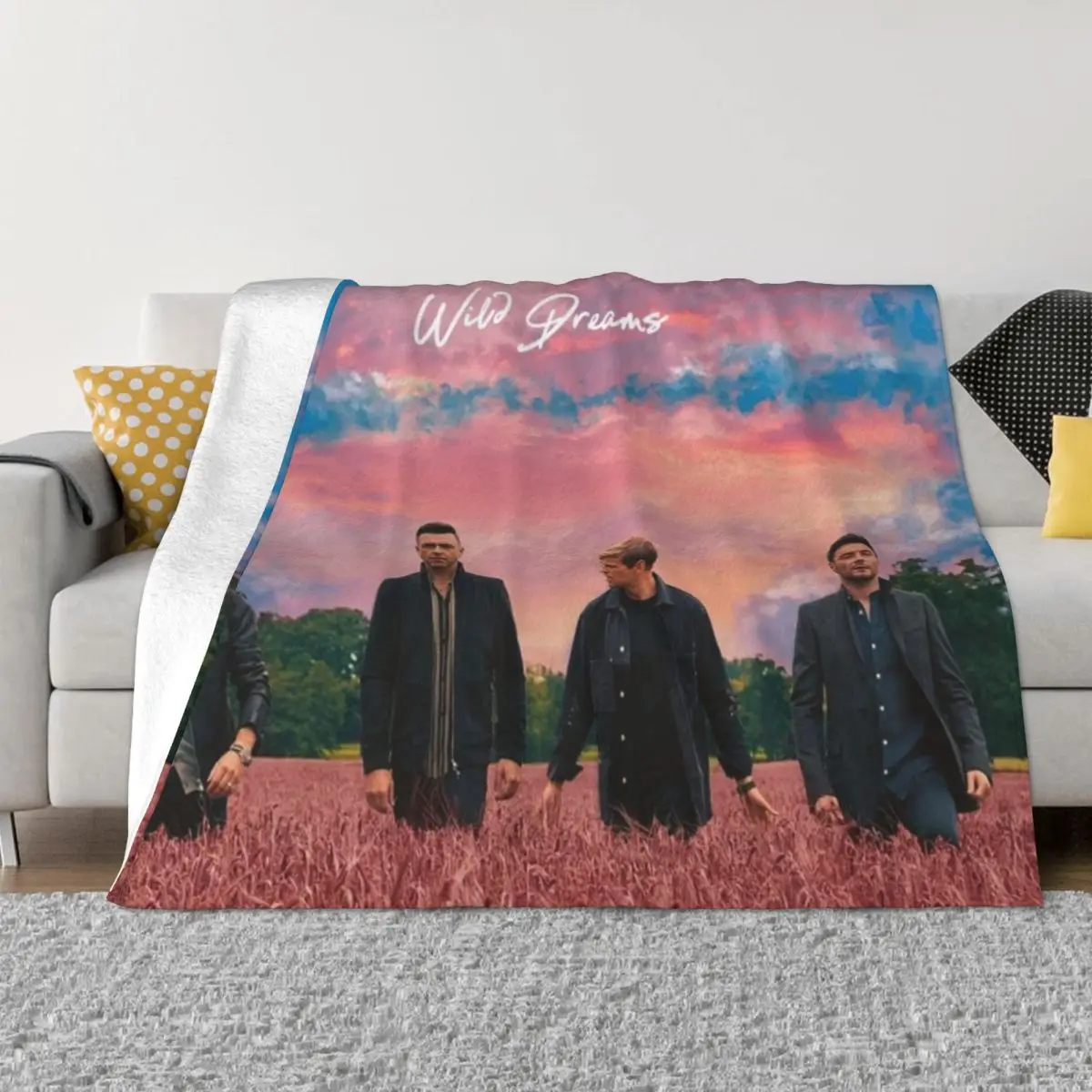 Westlife 002887 Домашние одеяла, пляжное одеяло, комфортное теплое мягкое одеяло для дома и украшения
Westlife 002887 Домашние одеяла, пляжное одеяло, комфортное теплое мягкое одеяло для дома и украшения