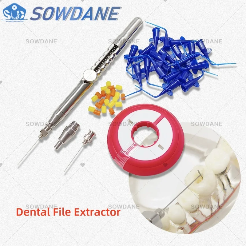 Dental Root Canal Restoration Holder Tool Dental Root Canal File Extractor Tools Dentist Instrument Tool
Dental Root Canal Restoration Holder Tool Dental Root Canal File Extractor Tools Dentist Instrument Tool