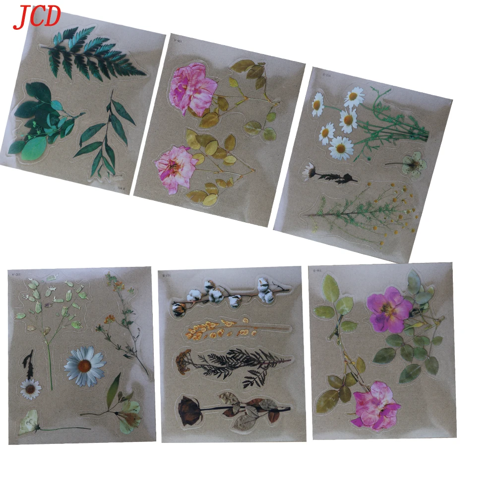 DIY Adhesive Drop Multiple Simulation Transparent Dry Flower Filling Decorative Material Paper Children's Handmade Material
DIY Adhesive Drop Multiple Simulation Transparent Dry Flower Filling Decorative Material Paper Children's Handmade Material