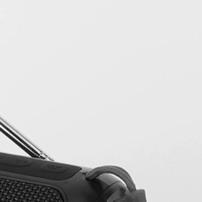Wireless BT Speaker Portable Radio Support TF Card AM FM Radio Rechargeable Radio
Wireless BT Speaker Portable Radio Support TF Card AM FM Radio Rechargeable Radio