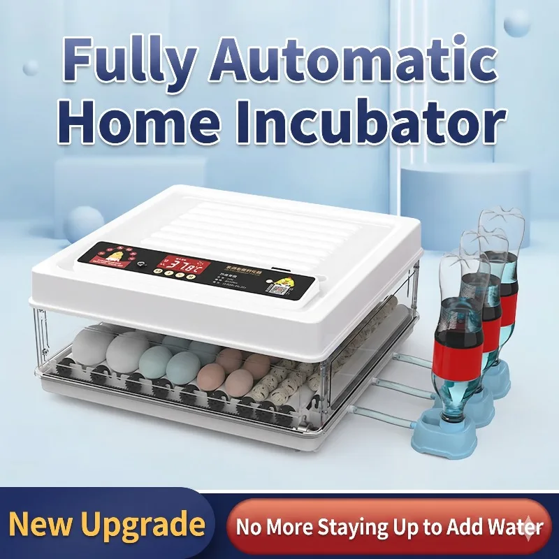 10/12/24/36 Eggs Fully Automatic Incubator Automatic Egg Turning Temperature Control Incubator for Poultry Egg with LED Lighting
10/12/24/36 Eggs Fully Automatic Incubator Automatic Egg Turning Temperature Control Incubator for Poultry Egg with LED Lighting