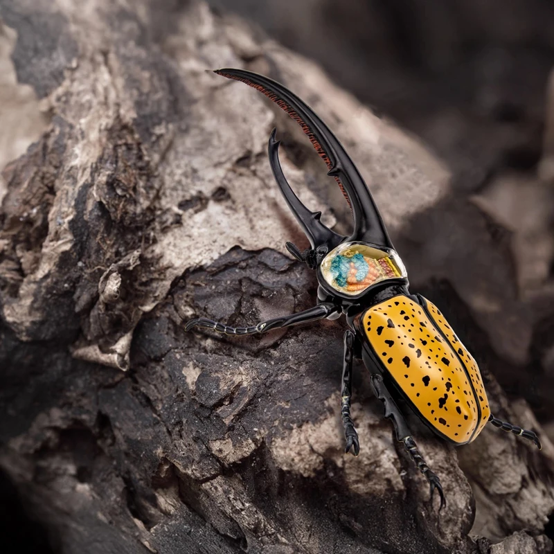 4D Vision Геркулес Жук Анатомическая модель Биологическая имитация насекомых Модель животных Сборка головоломки Образовательный подарок
4D Vision Геркулес Жук Анатомическая модель Биологическая имитация насекомых Модель животных Сборка головоломки Образовательный подарок