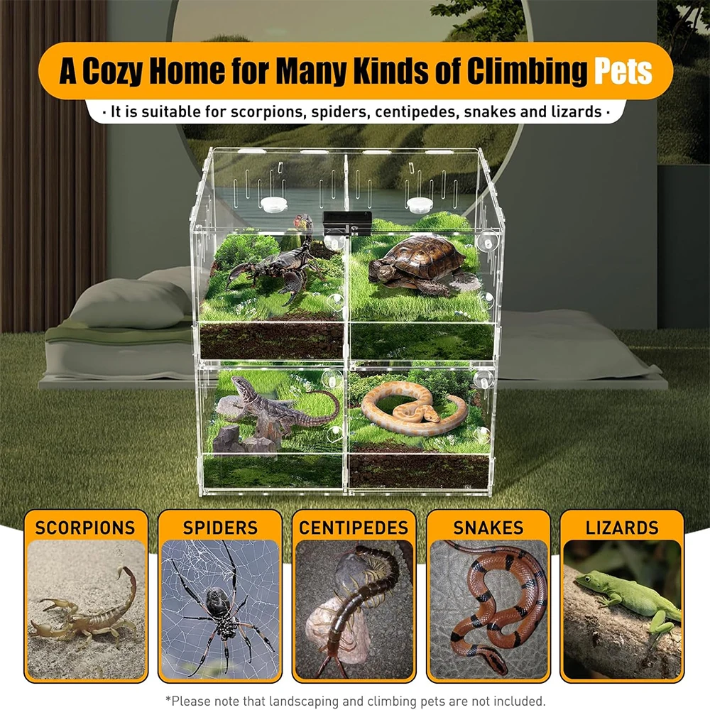 Reptile Habitat Breeding Box Transparent Acrylic Amphibian Anti-escape Case with Thermometer for Lizard Jumping Spider Turtles
Reptile Habitat Breeding Box Transparent Acrylic Amphibian Anti-escape Case with Thermometer for Lizard Jumping Spider Turtles