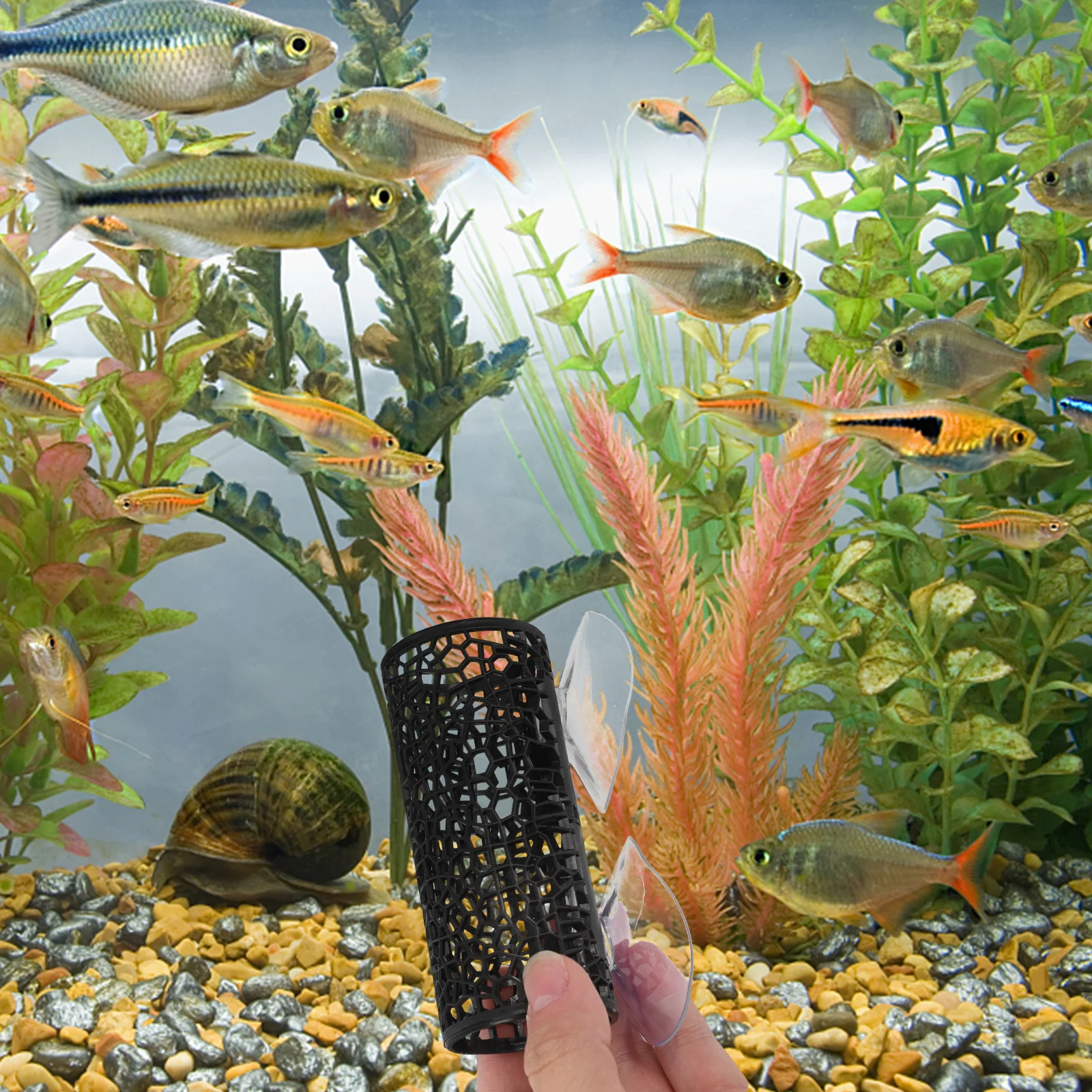 Aquarium Hollow Plastic Decoration Betta Hideout Hideaway Tunnel Bed Sturdy Small Tank Tunnel Decor For Aquarium Decoration 
Aquarium Hollow Plastic Decoration Betta Hideout Hideaway Tunnel Bed Sturdy Small Tank Tunnel Decor For Aquarium Decoration