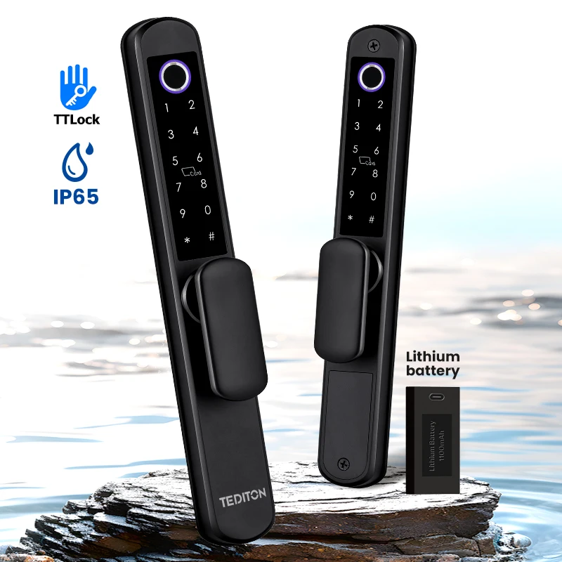 Tediton Waterproof Different Type Door Lock Home Door Anti Thief Smart Electronic Glass Door Lock With Handle Key
Tediton Waterproof Different Type Door Lock Home Door Anti Thief Smart Electronic Glass Door Lock With Handle Key